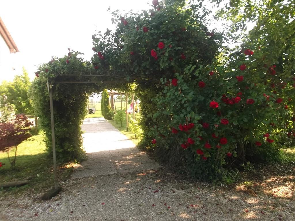 Agriturismo La Prateria Gazzo  Luaran gambar